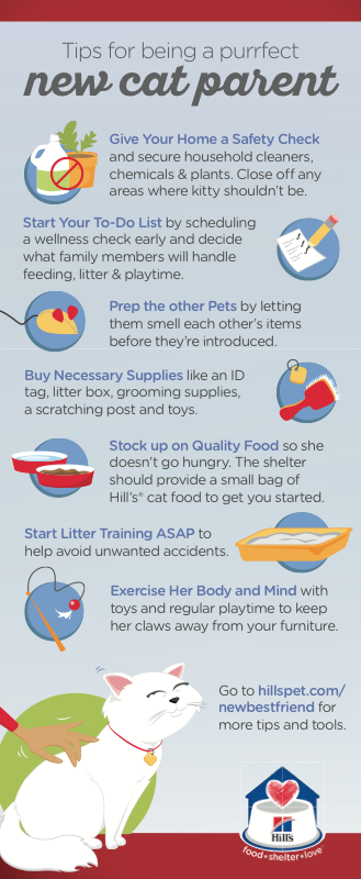 NPP infographic preview