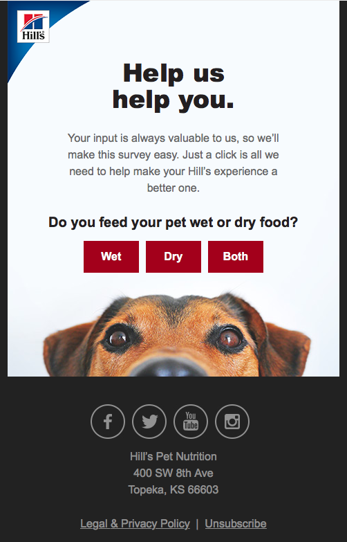 1-Second Survey Email