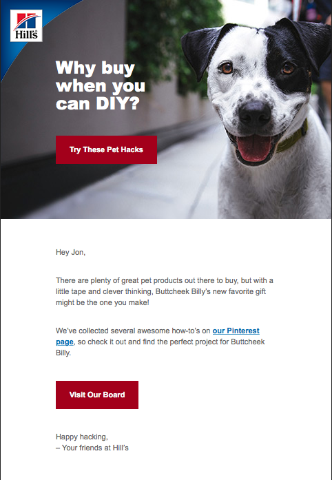 DIY Pet Care Email