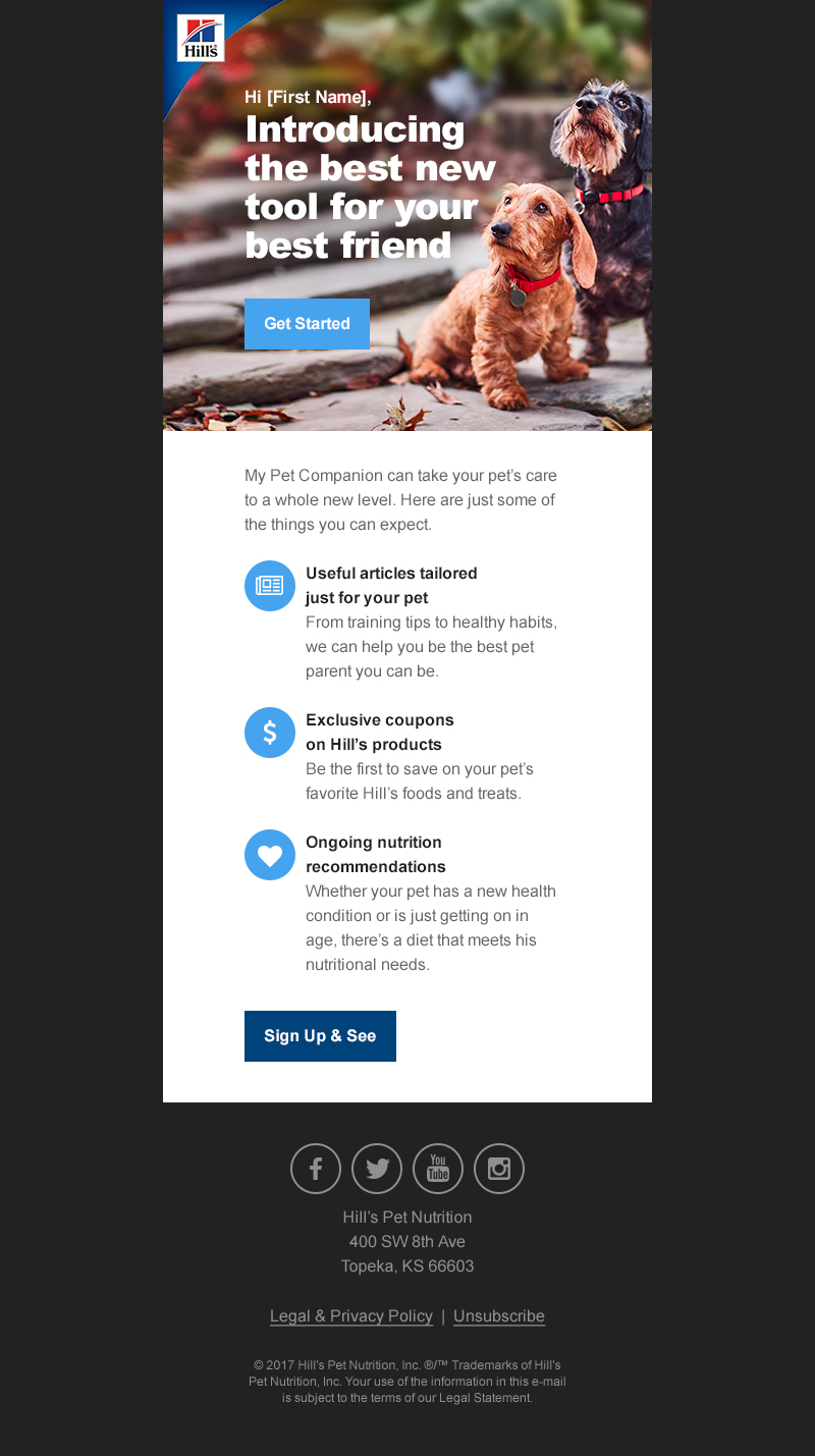 Pet Companion Announcement Email