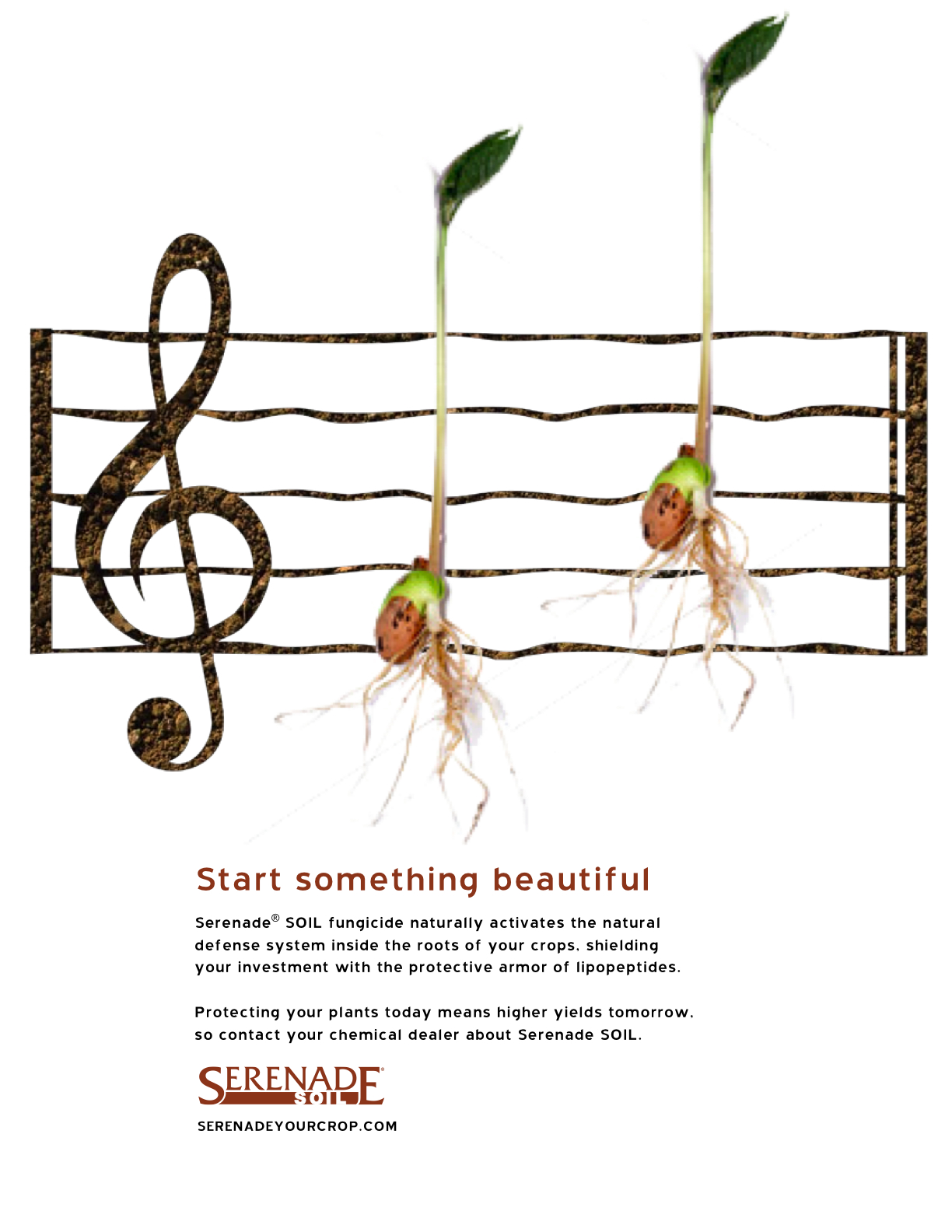 Serenade Garden — Music Series 2