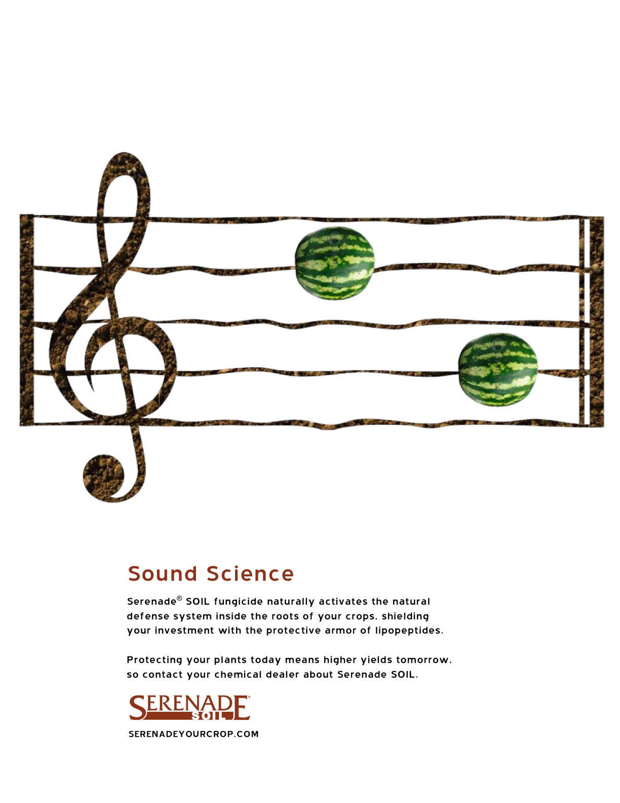 Serenade Garden — Music Series 3