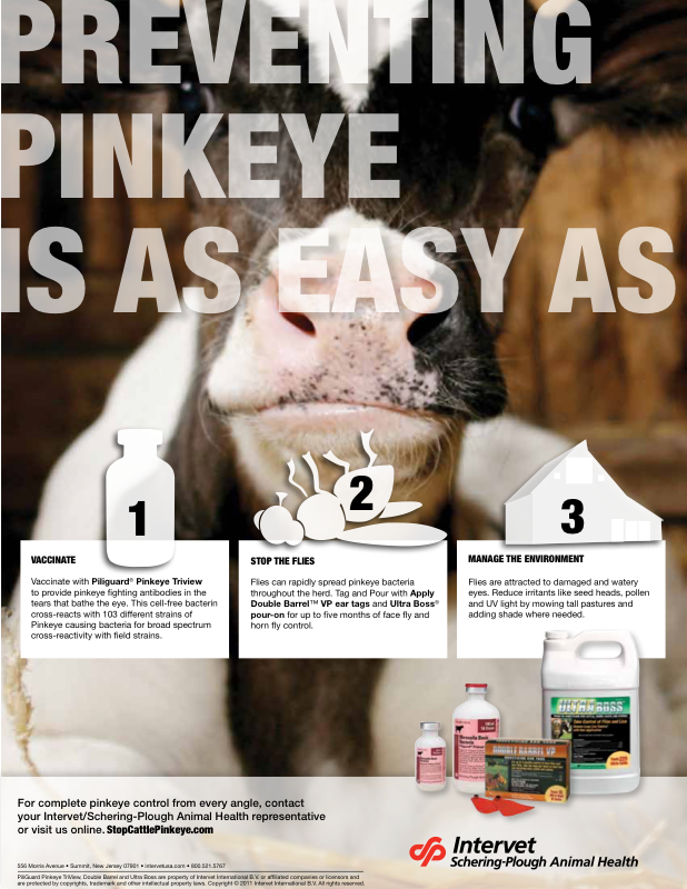 Pinkeye print ad preview