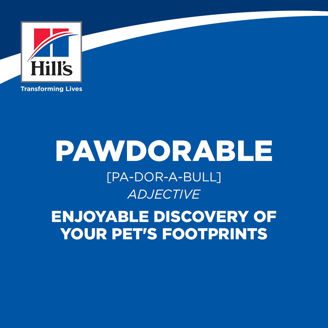 Hill's social post — Pawdorable definition