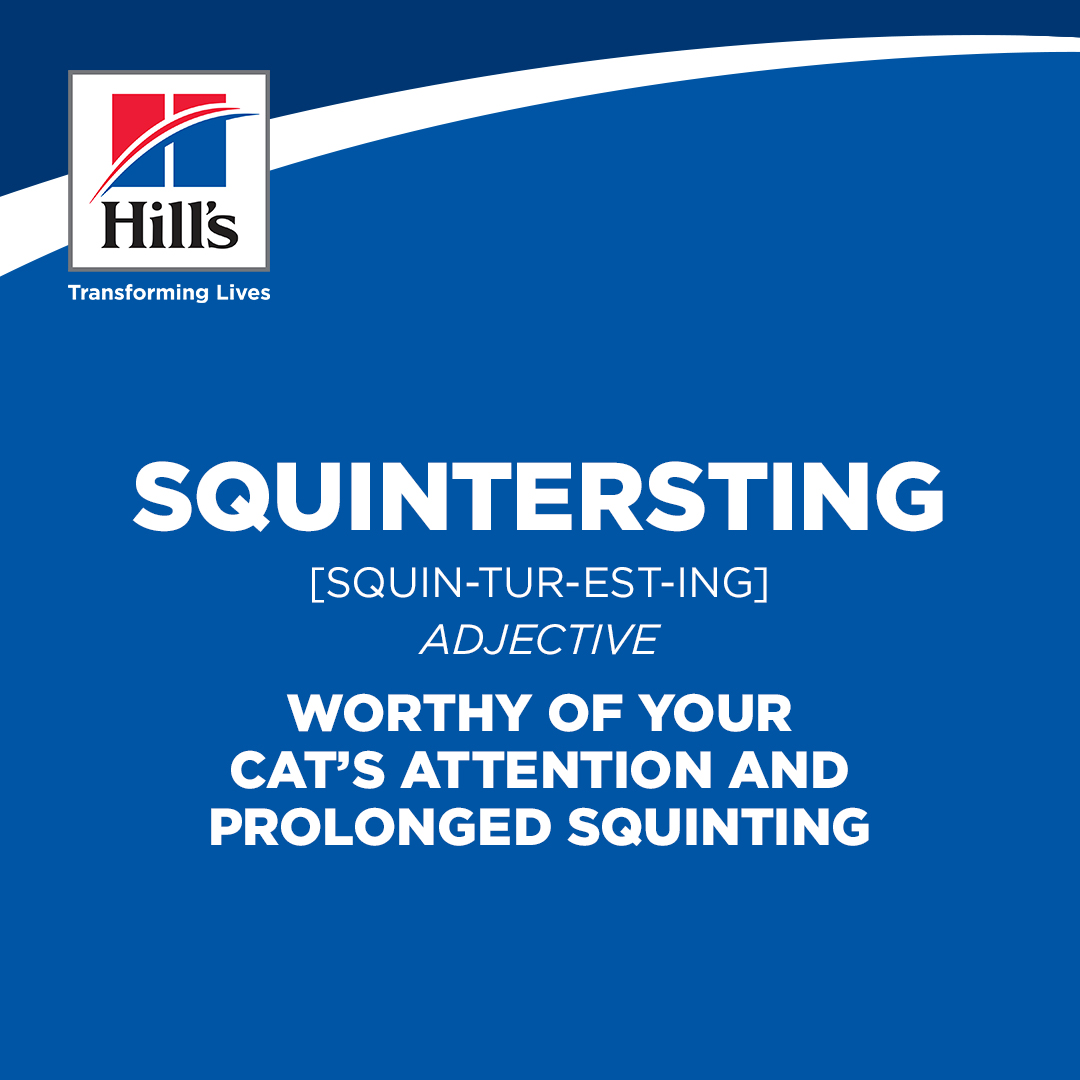 Hill's social post — pet definition 3