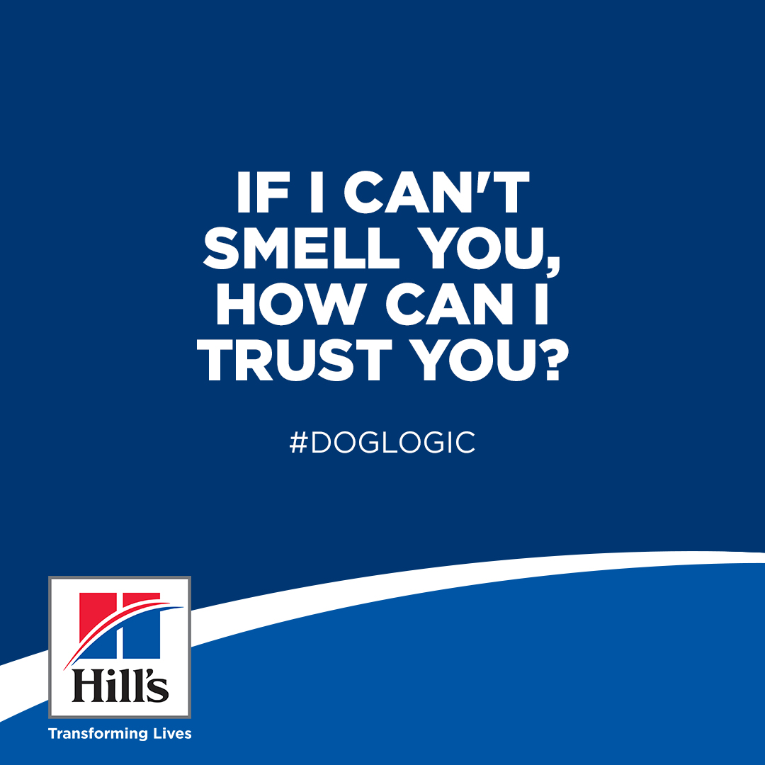 Hill's social post — #DogLogic 1