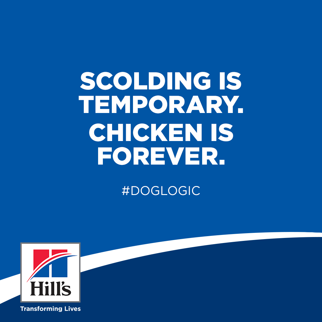 Hill's social post — #DogLogic 2