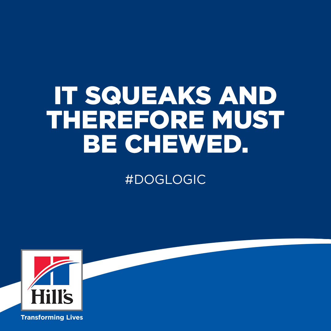 Hill's social post — #DogLogic 3