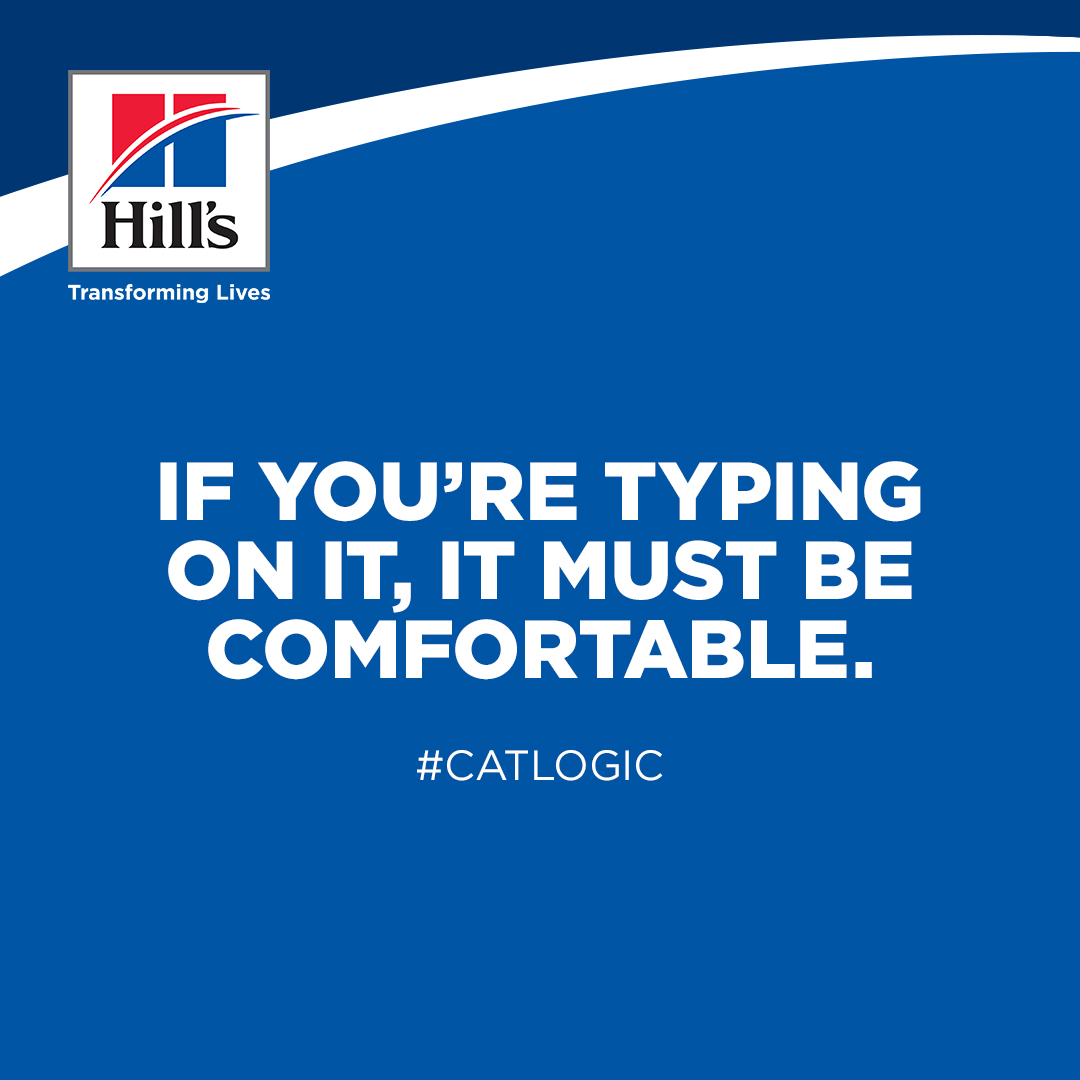Hill's social post — #CatLogic 1