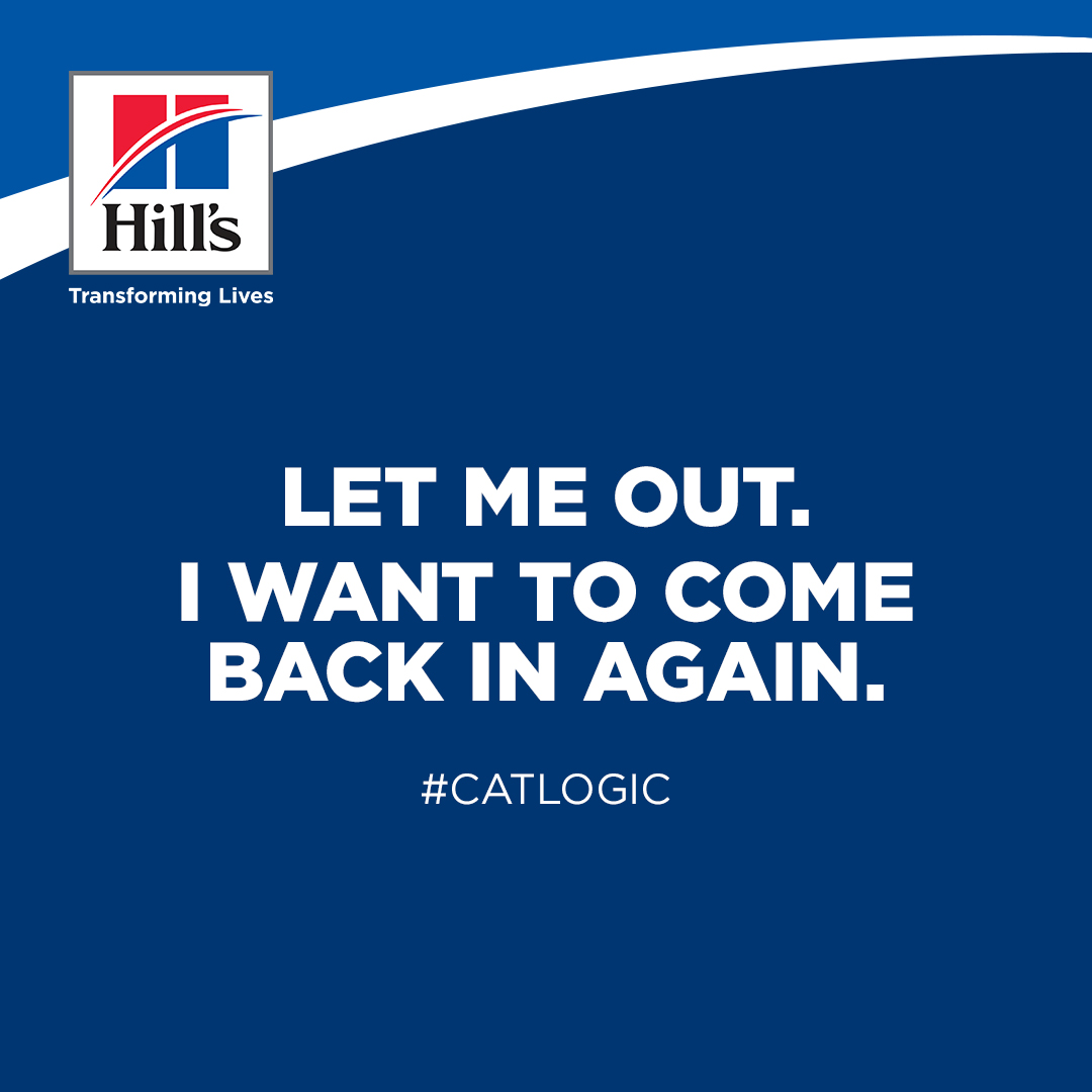 Hill's social post — #CatLogic 2