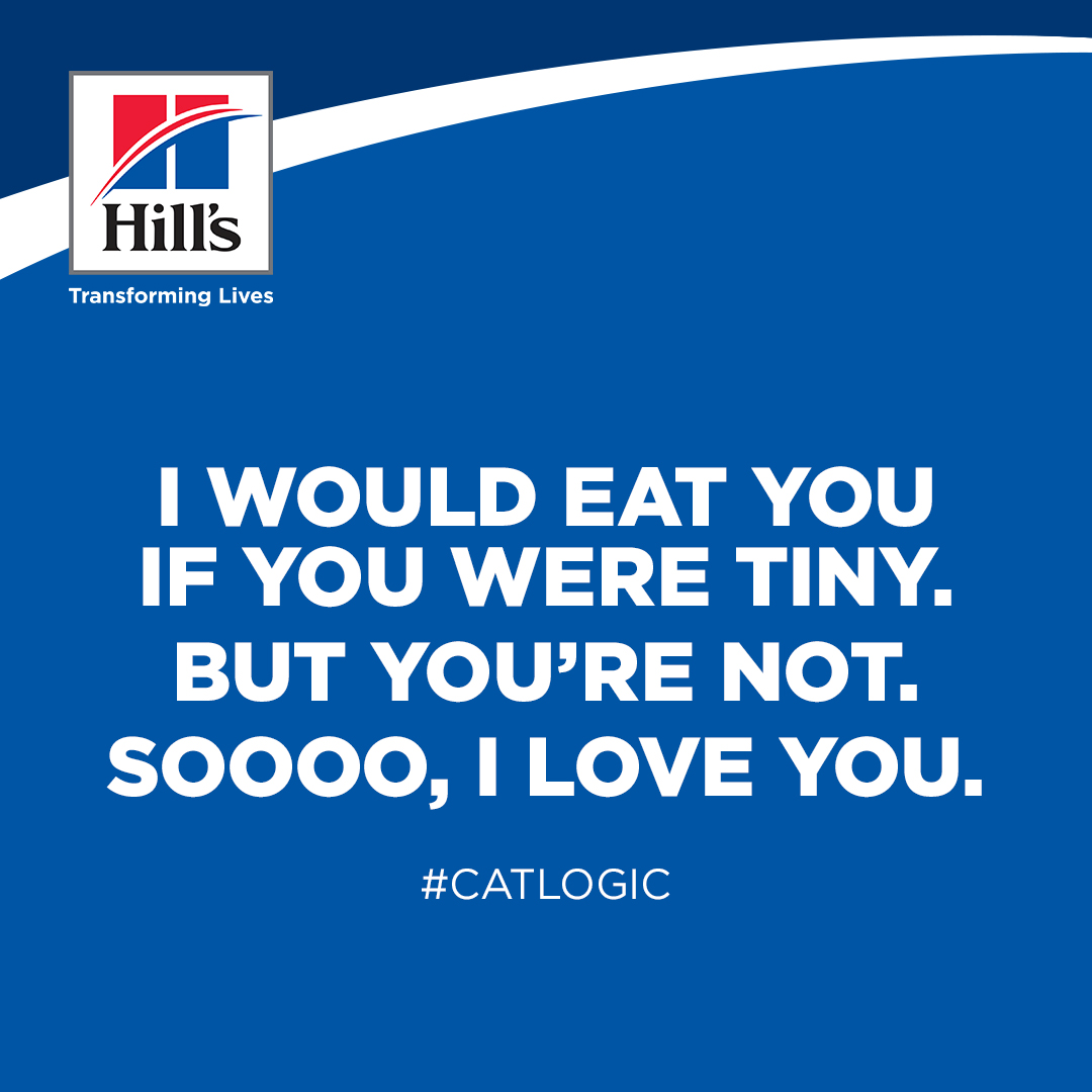 Hill's social post — #CatLogic 3