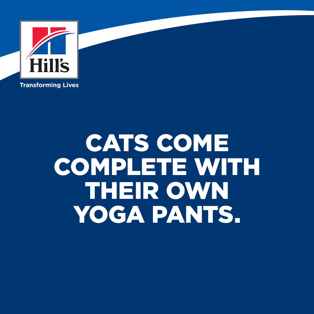 Hill's social post — Deep Thoughts 2
