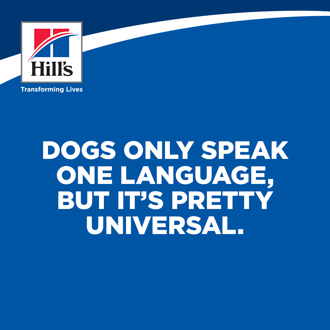 Hill's social post — Deep Thoughts 3