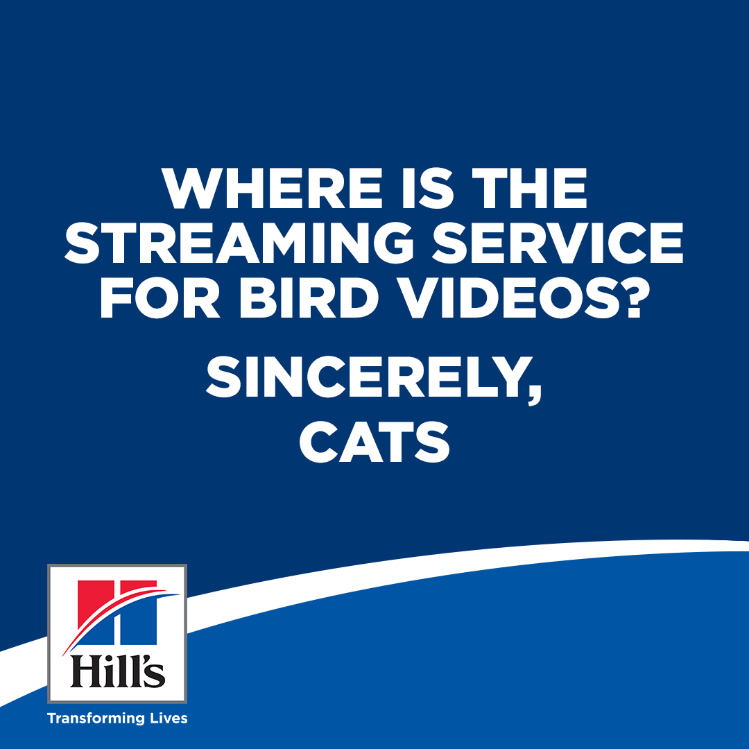 Hill's social post — Sincerely Pets 1