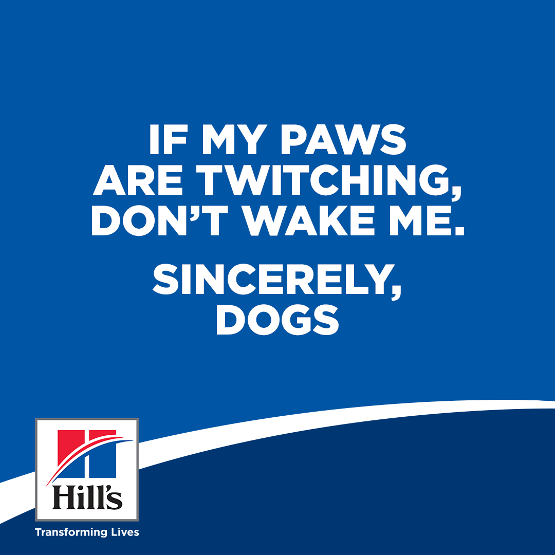 Hill's social post — Sincerely Pets 2