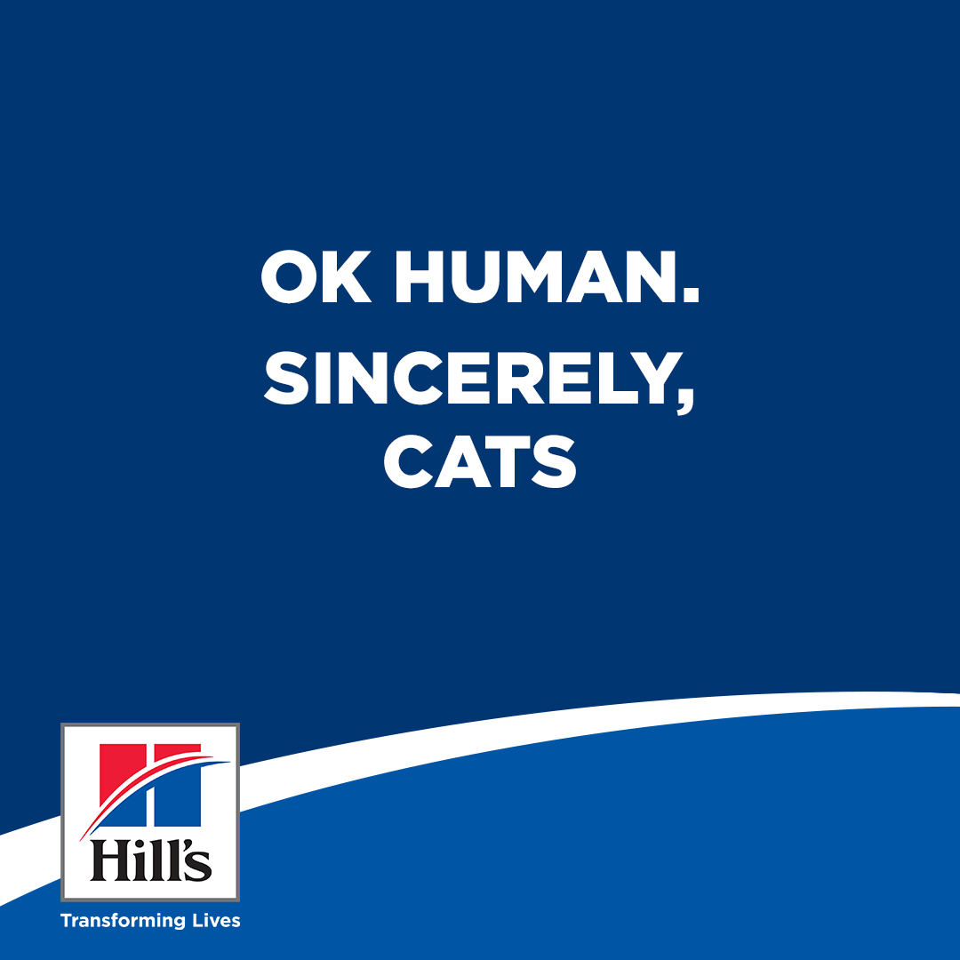 Hill's social post — Sincerely Pets 3